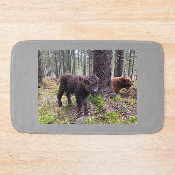 Item preview, Scottish Highland Cattle Calf 4147 designed and sold by SaarelaHighland.
