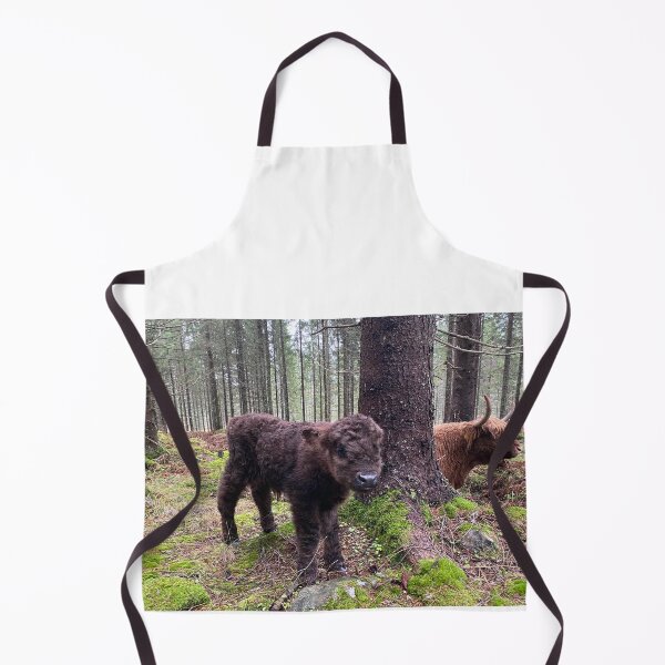 Aperçu de l'œuvre Scottish Highland Cattle Calf 4147 créée et vendue par SaarelaHighland.