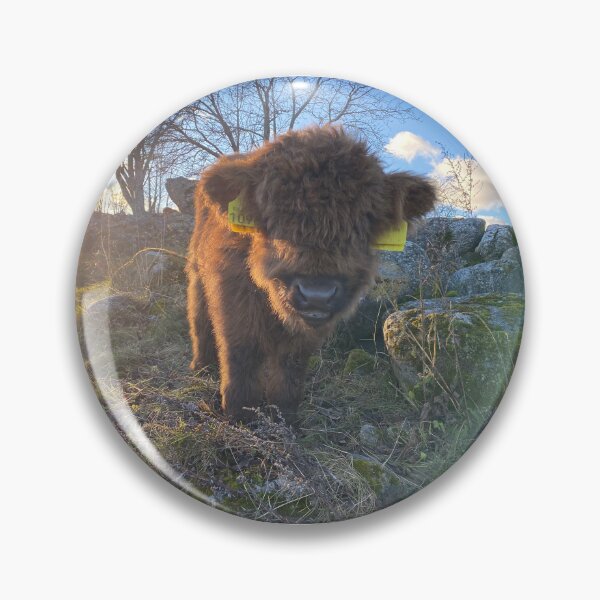 Artikelvorschau, Scottish Highland Cattle Calf 4149 entworfen und verkauft von SaarelaHighland.