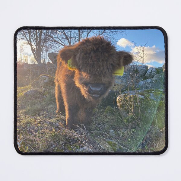 Item preview, Scottish Highland Cattle Calf 4149 designed and sold by SaarelaHighland.