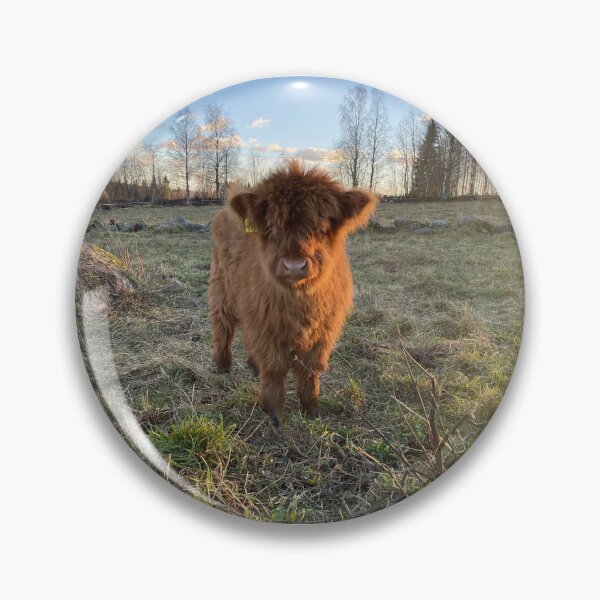 Artikelvorschau, Scottish Highland Cattle Calf 4151 entworfen und verkauft von SaarelaHighland.
