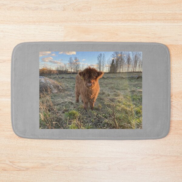 Item preview, Scottish Highland Cattle Calf 4151 designed and sold by SaarelaHighland.