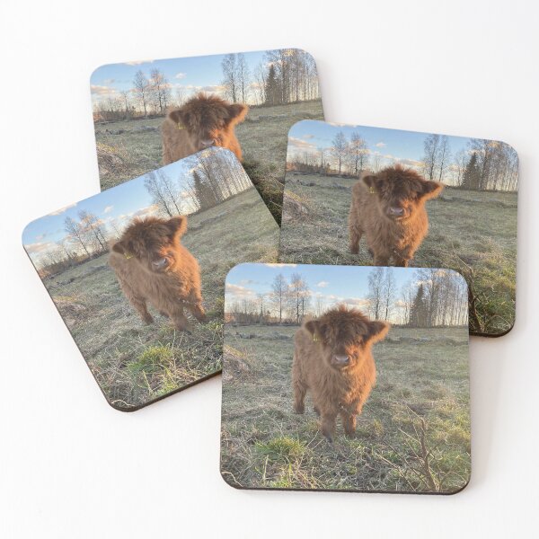 Item preview, Scottish Highland Cattle Calf 4151 designed and sold by SaarelaHighland.