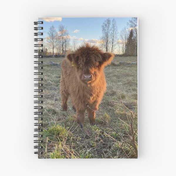 Item preview, Scottish Highland Cattle Calf 4151 designed and sold by SaarelaHighland.