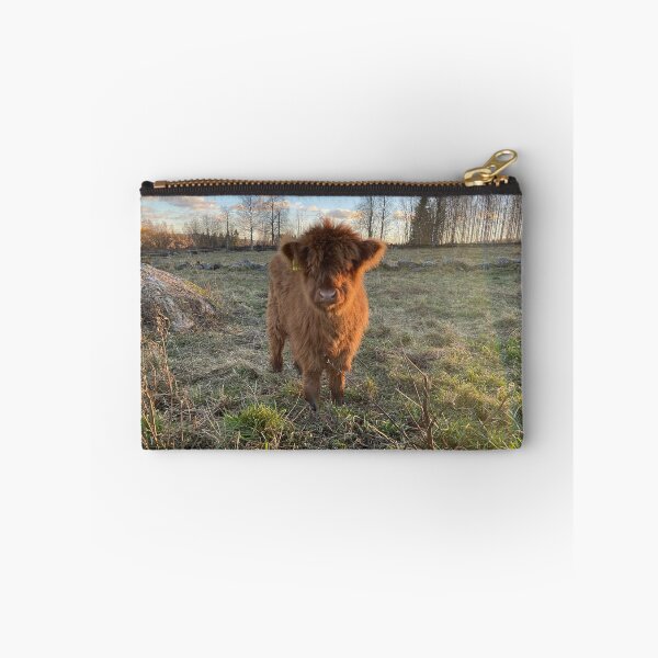 Item preview, Scottish Highland Cattle Calf 4151 designed and sold by SaarelaHighland.