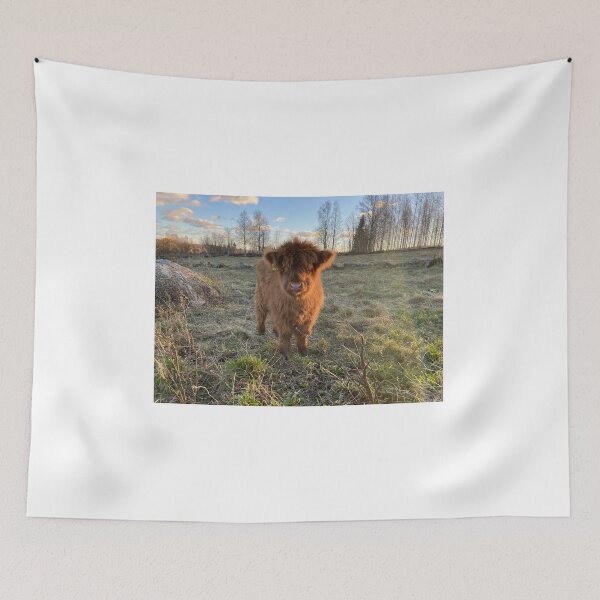 Item preview, Scottish Highland Cattle Calf 4151 designed and sold by SaarelaHighland.