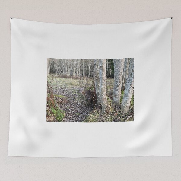 Item preview, Scottish Highland Cattle Calf 4152 designed and sold by SaarelaHighland.
