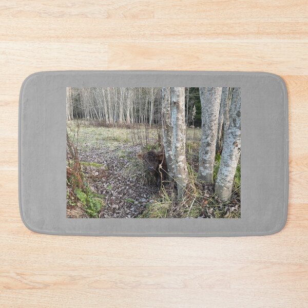 Item preview, Scottish Highland Cattle Calf 4152 designed and sold by SaarelaHighland.