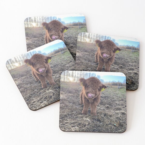 Artikelvorschau, Scottish Highland Cattle Calf 4154 entworfen und verkauft von SaarelaHighland.