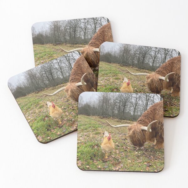 Artikelvorschau, Scottish Highland Cattle Cow and rooster 4156 entworfen und verkauft von SaarelaHighland.
