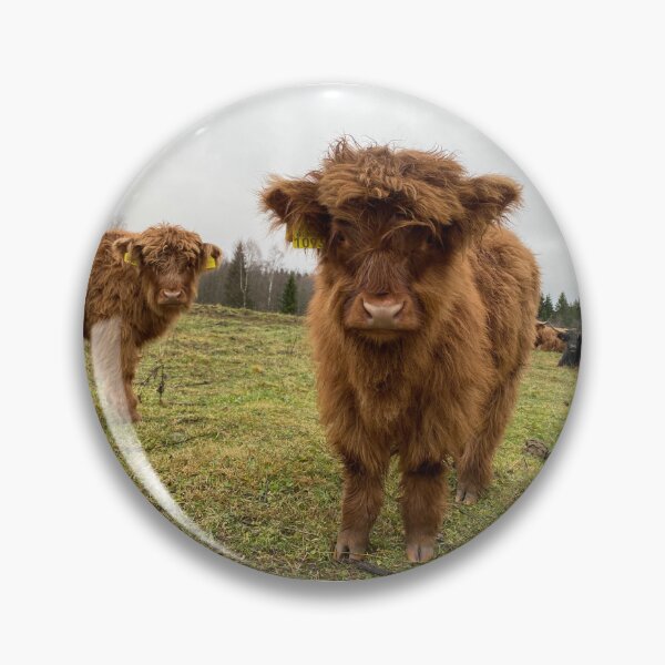 Artikelvorschau, Scottish Highland Cattle Calf 4158 entworfen und verkauft von SaarelaHighland.