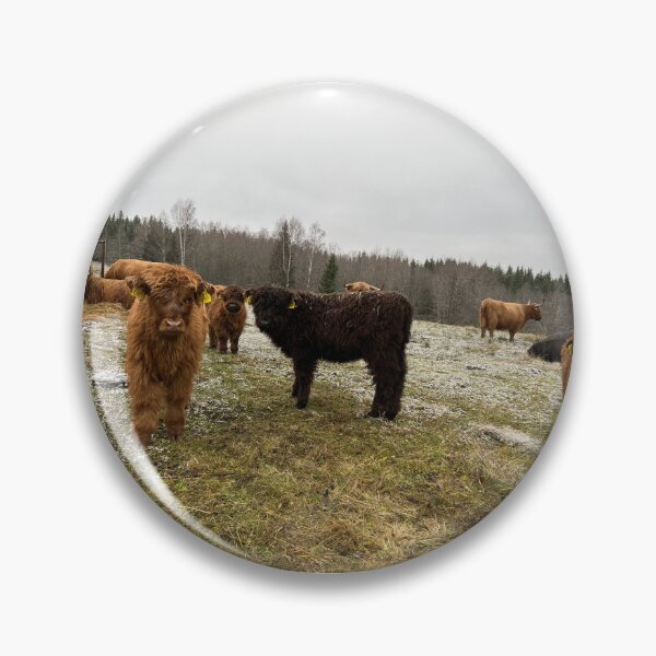 Artikelvorschau, Scottish Highland Cattle Calves 4159 entworfen und verkauft von SaarelaHighland.