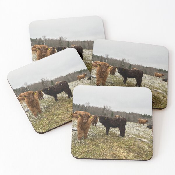 Artikelvorschau, Scottish Highland Cattle Calves 4159 entworfen und verkauft von SaarelaHighland.