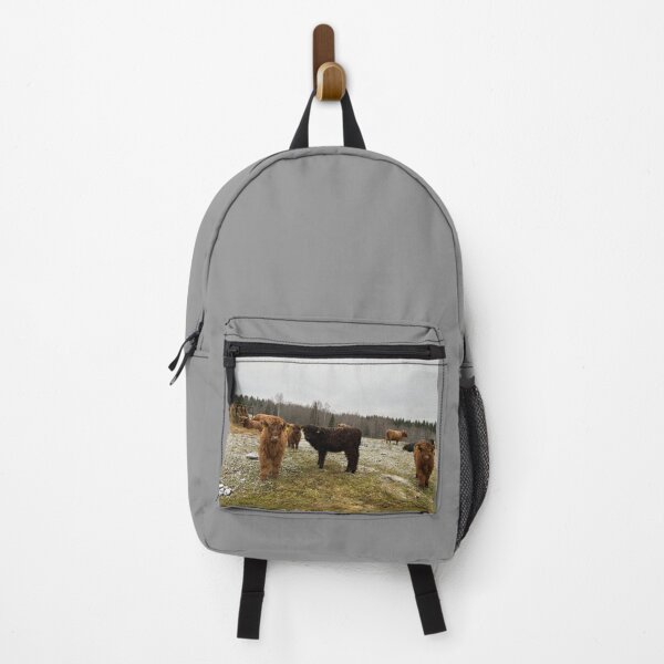 Item preview, Scottish Highland Cattle Calves 4159 designed and sold by SaarelaHighland.