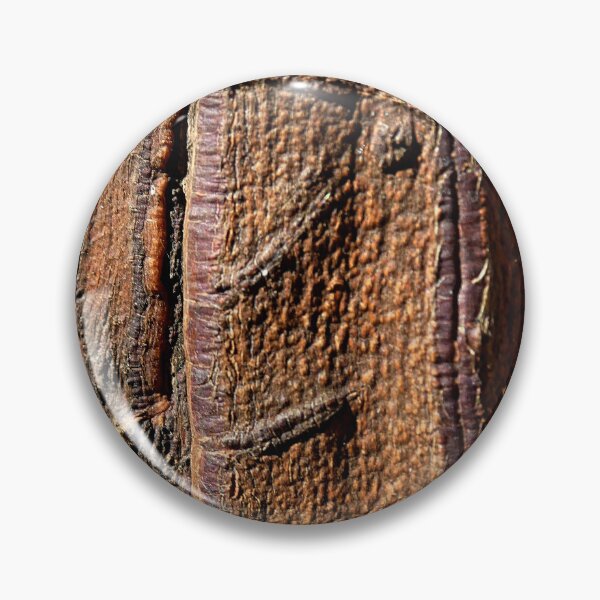 Artikelvorschau, Schöner alter Baumstamm entworfen und verkauft von AdioraStore.