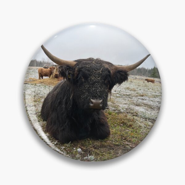 Artikelvorschau, Scottish Highland Cattle Cow 4161 entworfen und verkauft von SaarelaHighland.