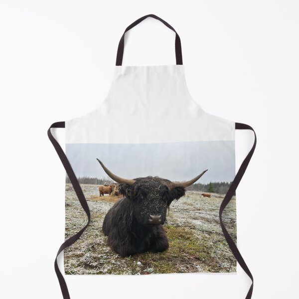 Aperçu de l'œuvre Scottish Highland Cattle Cow 4161 créée et vendue par SaarelaHighland.
