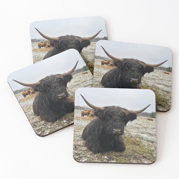 Artikelvorschau, Scottish Highland Cattle Cow 4161 entworfen und verkauft von SaarelaHighland.