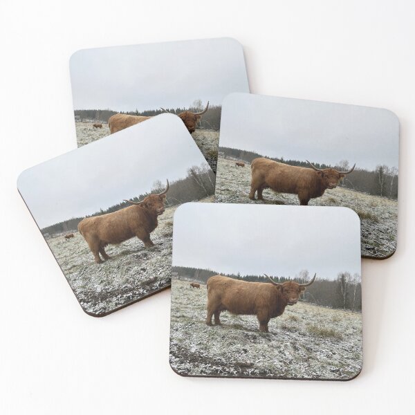 Artikelvorschau, Scottish Highland Cattle Cow 4162 entworfen und verkauft von SaarelaHighland.