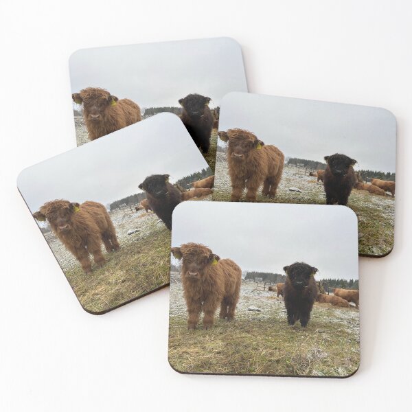 Artikelvorschau, Scottish Highland Cattle Calves 4163 entworfen und verkauft von SaarelaHighland.