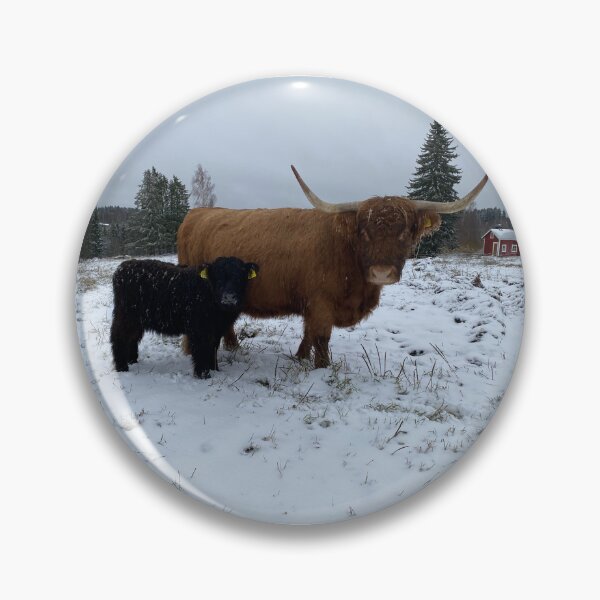 Artikelvorschau, Scottish Highland Cattle Cow and calf 4164 entworfen und verkauft von SaarelaHighland.