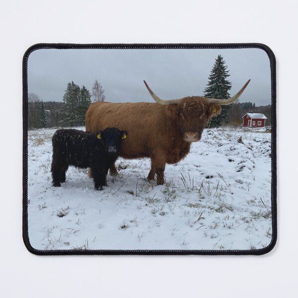 Item preview, Scottish Highland Cattle Cow and calf 4164 designed and sold by SaarelaHighland.