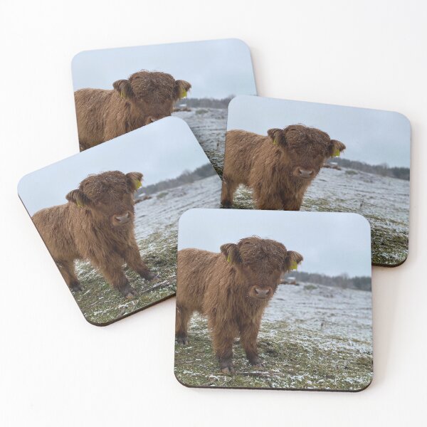 Item preview, Scottish Highland Cattle Calf 4165 designed and sold by SaarelaHighland.
