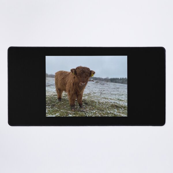 Item preview, Scottish Highland Cattle Calf 4165 designed and sold by SaarelaHighland.
