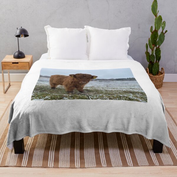 Item preview, Scottish Highland Cattle Calf 4165 designed and sold by SaarelaHighland.