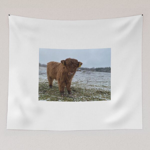 Item preview, Scottish Highland Cattle Calf 4165 designed and sold by SaarelaHighland.