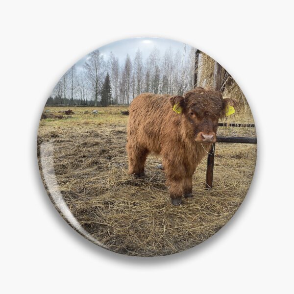 Artikelvorschau, Scottish Highland Cattle Calf 4166 entworfen und verkauft von SaarelaHighland.