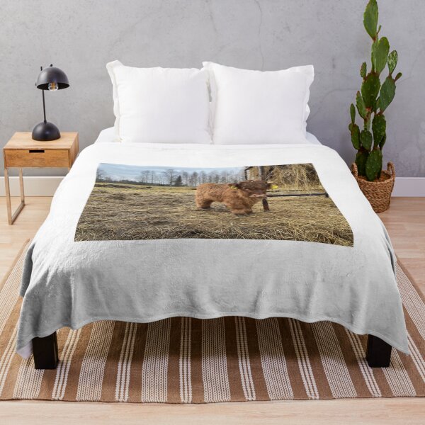 Aperçu de l'œuvre Scottish Highland Cattle Calf 4166 créée et vendue par SaarelaHighland.