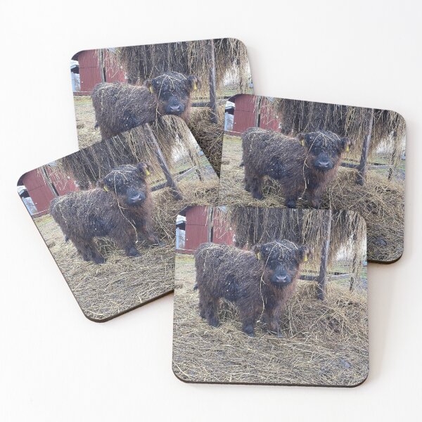 Artikelvorschau, Scottish Highland Cattle Calf 4167 entworfen und verkauft von SaarelaHighland.