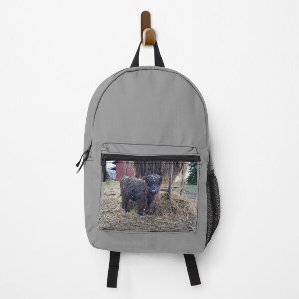 Item preview, Scottish Highland Cattle Calf 4167 designed and sold by SaarelaHighland.
