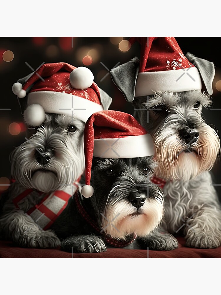 Schnauzer christmas hot sale