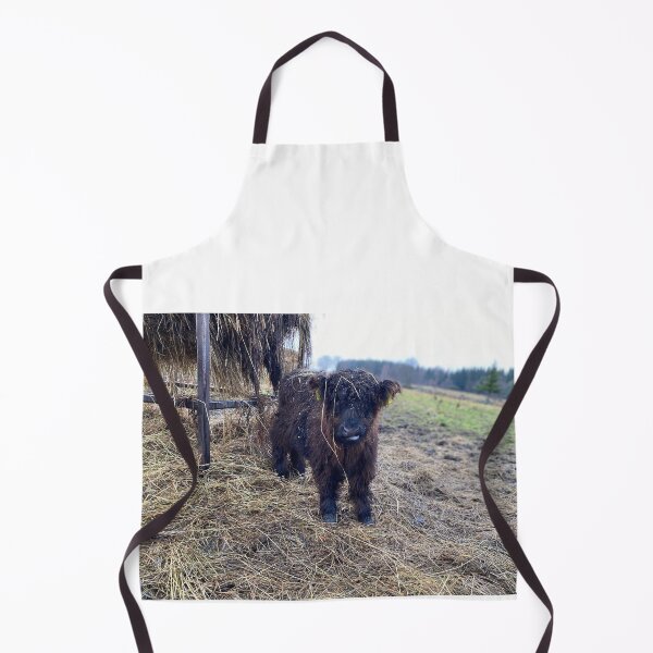 Aperçu de l'œuvre Scottish Highland Cattle Calf 4168 créée et vendue par SaarelaHighland.
