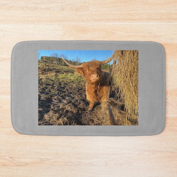Item preview, Scottish Highland Cattle Cow 4170 designed and sold by SaarelaHighland.