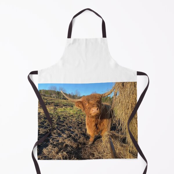 Item preview, Scottish Highland Cattle Cow 4170 designed and sold by SaarelaHighland.