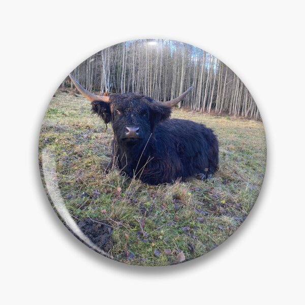Artikelvorschau, Scottish Highland Cattle Cow 4172 entworfen und verkauft von SaarelaHighland.
