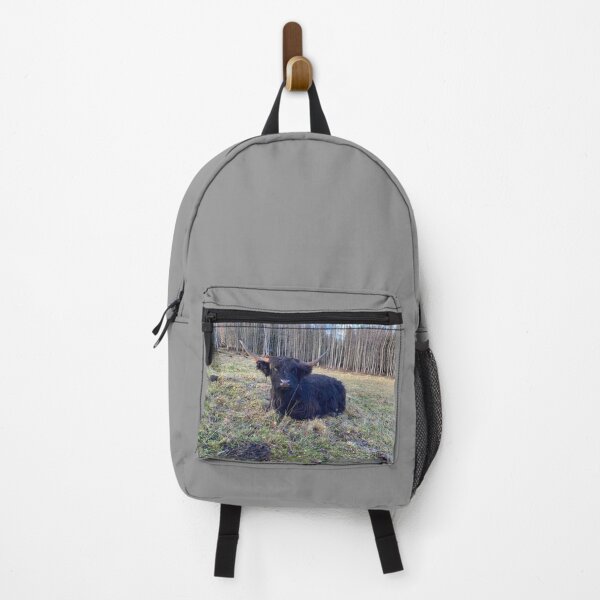 Item preview, Scottish Highland Cattle Cow 4172 designed and sold by SaarelaHighland.