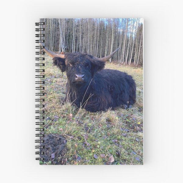 Item preview, Scottish Highland Cattle Cow 4172 designed and sold by SaarelaHighland.