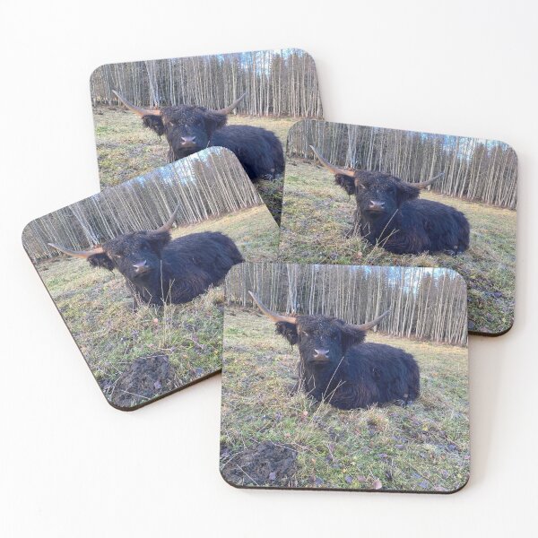 Item preview, Scottish Highland Cattle Cow 4172 designed and sold by SaarelaHighland.