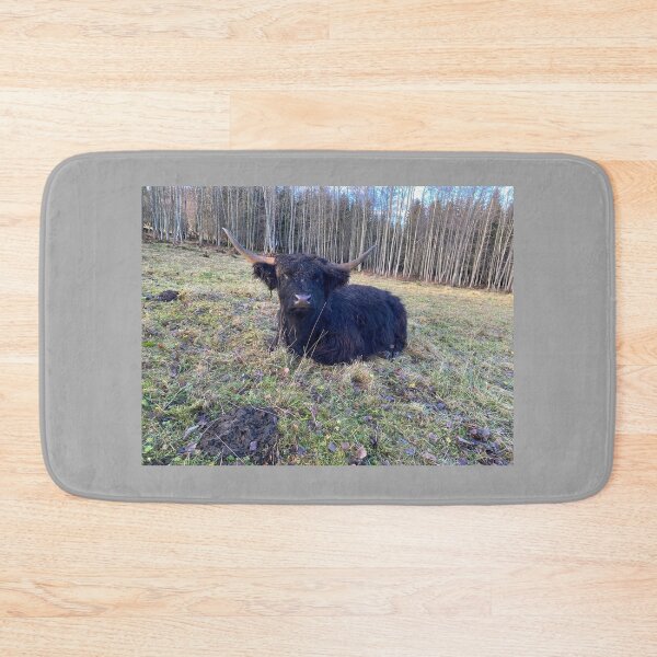Item preview, Scottish Highland Cattle Cow 4172 designed and sold by SaarelaHighland.