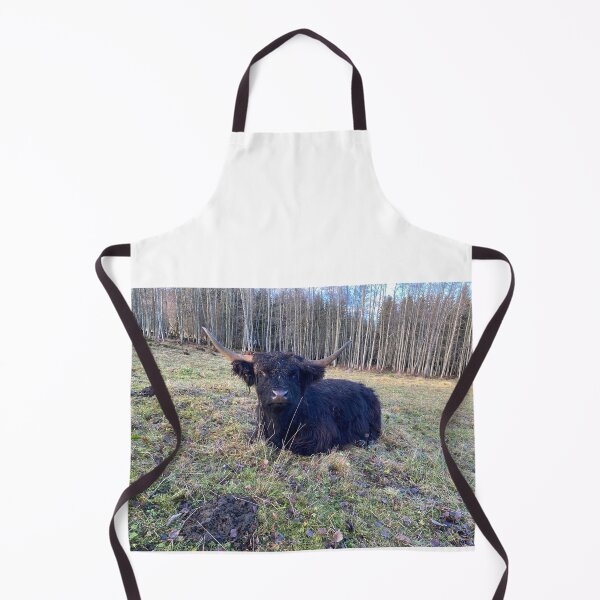 Aperçu de l'œuvre Scottish Highland Cattle Cow 4172 créée et vendue par SaarelaHighland.