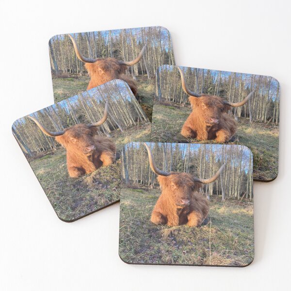 Artikelvorschau, Scottish Highland Cattle Cow 4173 entworfen und verkauft von SaarelaHighland.