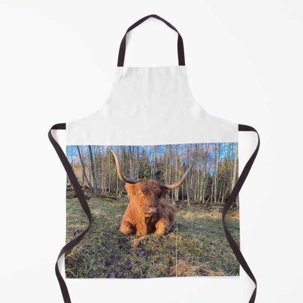 Aperçu de l'œuvre Scottish Highland Cattle Cow 4173 créée et vendue par SaarelaHighland.