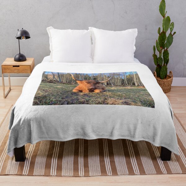 Artikelvorschau, Scottish Highland Cattle Cow 4173 entworfen und verkauft von SaarelaHighland.