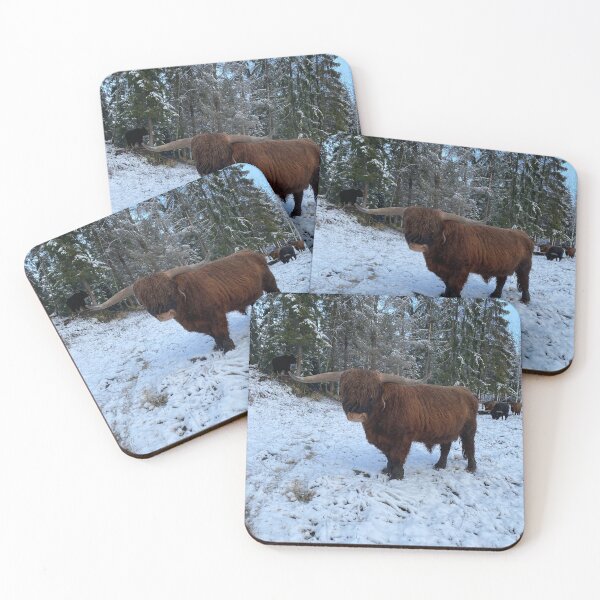 Artikelvorschau, Scottish Highland Cattle Bull 4174 entworfen und verkauft von SaarelaHighland.