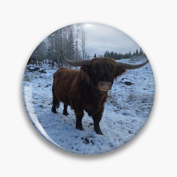 Artikelvorschau, Scottish Highland Cattle Bull 4175 entworfen und verkauft von SaarelaHighland.