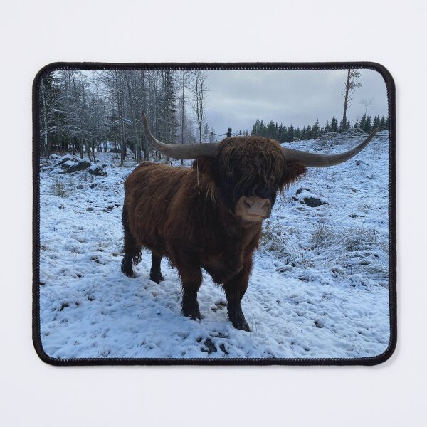 Item preview, Scottish Highland Cattle Bull 4175 designed and sold by SaarelaHighland.